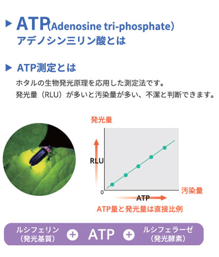 ATP検査キット